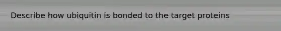 Describe how ubiquitin is bonded to the target proteins