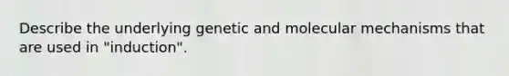 Describe the underlying genetic and molecular mechanisms that are used in "induction".