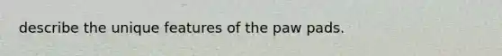 describe the unique features of the paw pads.