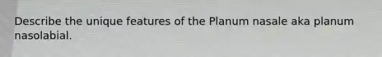 Describe the unique features of the Planum nasale aka planum nasolabial.