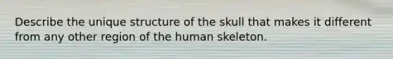 Describe the unique structure of the skull that makes it different from any other region of the human skeleton.