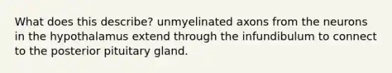 What does this describe? unmyelinated axons from the neurons in the hypothalamus extend through the infundibulum to connect to the posterior pituitary gland.