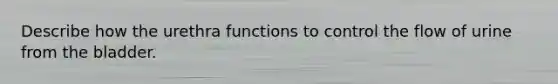 Describe how the urethra functions to control the flow of urine from the bladder.