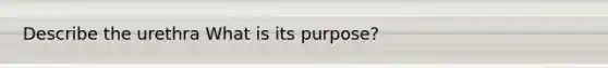 Describe the urethra What is its purpose?