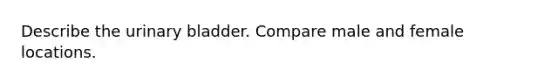 Describe the urinary bladder. Compare male and female locations.