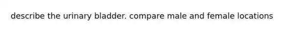 describe the urinary bladder. compare male and female locations
