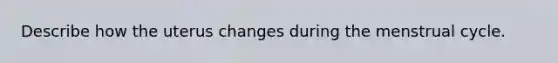 Describe how the uterus changes during the menstrual cycle.
