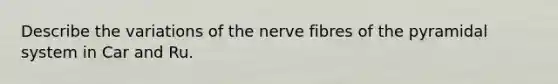 Describe the variations of the nerve fibres of the pyramidal system in Car and Ru.