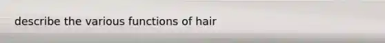 describe the various functions of hair