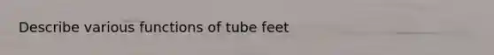 Describe various functions of tube feet