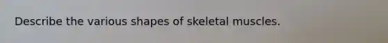 Describe the various shapes of skeletal muscles.