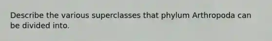 Describe the various superclasses that phylum Arthropoda can be divided into.