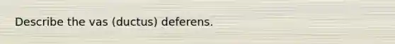 Describe the vas (ductus) deferens.