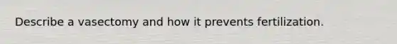 Describe a vasectomy and how it prevents fertilization.