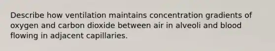 Describe how ventilation maintains concentration gradients of oxygen and carbon dioxide between air in alveoli and blood flowing in adjacent capillaries.