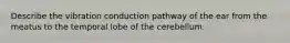 Describe the vibration conduction pathway of the ear from the meatus to the temporal lobe of the cerebellum.