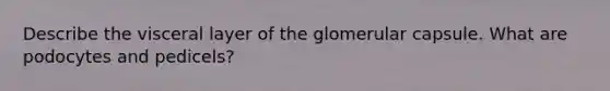 Describe the visceral layer of the glomerular capsule. What are podocytes and pedicels?