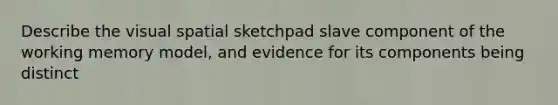 Describe the visual spatial sketchpad slave component of the working memory model, and evidence for its components being distinct