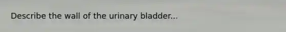 Describe the wall of the urinary bladder...