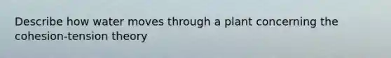 Describe how water moves through a plant concerning the cohesion-tension theory