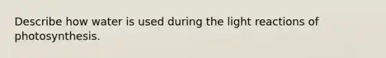 Describe how water is used during the light reactions of photosynthesis.