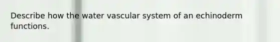 Describe how the water vascular system of an echinoderm functions.