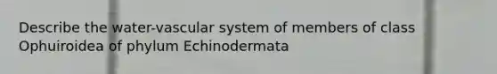 Describe the water-vascular system of members of class Ophuiroidea of phylum Echinodermata