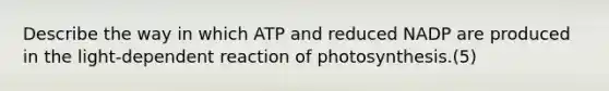 Describe the way in which ATP and reduced NADP are produced in the light-dependent reaction of photosynthesis.(5)