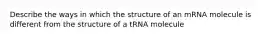 Describe the ways in which the structure of an mRNA molecule is different from the structure of a tRNA molecule