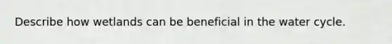 Describe how wetlands can be beneficial in the water cycle.