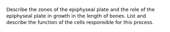 Describe the zones of the epiphyseal plate and the role of the epiphyseal plate in growth in the length of bones. List and describe the function of the cells responsible for this process.