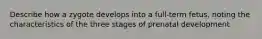 Describe how a zygote develops into a full-term fetus, noting the characteristics of the three stages of prenatal development