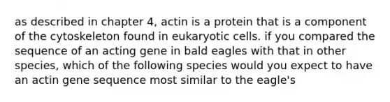 as described in chapter 4, actin is a protein that is a component of the cytoskeleton found in <a href='https://www.questionai.com/knowledge/kb526cpm6R-eukaryotic-cells' class='anchor-knowledge'>eukaryotic cells</a>. if you compared the sequence of an acting gene in bald eagles with that in other species, which of the following species would you expect to have an actin gene sequence most similar to the eagle's