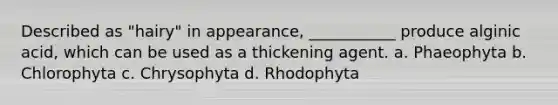 Described as "hairy" in appearance, ___________ produce alginic acid, which can be used as a thickening agent. a. Phaeophyta b. Chlorophyta c. Chrysophyta d. Rhodophyta