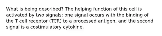 What is being described? The helping function of this cell is activated by two signals; one signal occurs with the binding of the T cell receptor (TCR) to a processed antigen, and the second signal is a costimulatory cytokine.