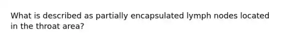 What is described as partially encapsulated lymph nodes located in the throat area?