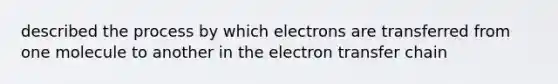 described the process by which electrons are transferred from one molecule to another in the <a href='https://www.questionai.com/knowledge/kzP6QOcY63-electron-transfer' class='anchor-knowledge'>electron transfer</a> chain