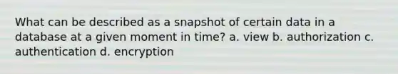 What can be described as a snapshot of certain data in a database at a given moment in time? a. view b. authorization c. authentication d. encryption