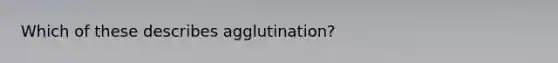 Which of these describes agglutination?