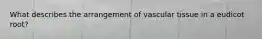 What describes the arrangement of vascular tissue in a eudicot root?