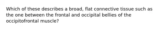 Which of these describes a broad, flat connective tissue such as the one between the frontal and occipital bellies of the occipitofrontal muscle?