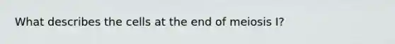 What describes the cells at the end of meiosis I?