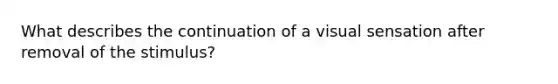 What describes the continuation of a visual sensation after removal of the stimulus?