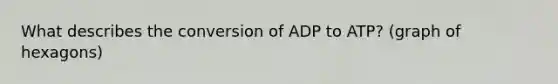 What describes the conversion of ADP to ATP? (graph of hexagons)