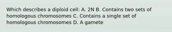 Which describes a diploid cell: A. 2N B. Contains two sets of homologous chromosomes C. Contains a single set of homologous chromosomes D. A gamete