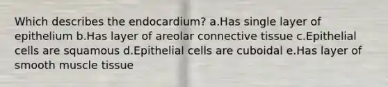 Which describes the endocardium? a.Has single layer of epithelium b.Has layer of areolar connective tissue c.Epithelial cells are squamous d.Epithelial cells are cuboidal e.Has layer of smooth muscle tissue