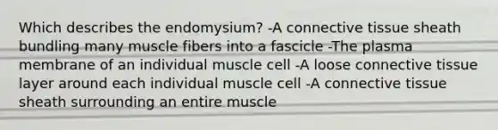 Which describes the endomysium? -A connective tissue sheath bundling many muscle fibers into a fascicle -The plasma membrane of an individual muscle cell -A loose connective tissue layer around each individual muscle cell -A connective tissue sheath surrounding an entire muscle