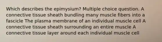 Which describes the epimysium? Multiple choice question. A connective tissue sheath bundling many muscle fibers into a fascicle The plasma membrane of an individual muscle cell A connective tissue sheath surrounding an entire muscle A connective tissue layer around each individual muscle cell