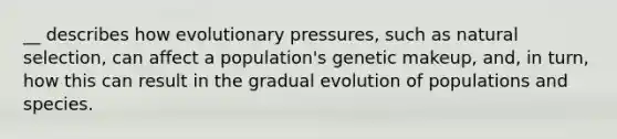 __ describes how evolutionary pressures, such as natural selection, can affect a population's genetic makeup, and, in turn, how this can result in the gradual evolution of populations and species.