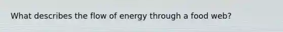 What describes the flow of energy through a food web?